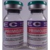  PRIMOJECT 