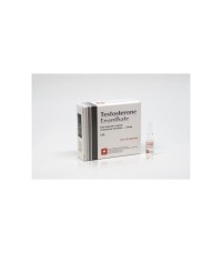 swiss Testosterone Enanthate