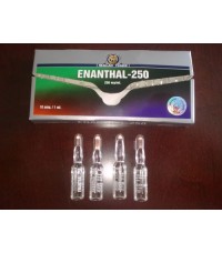 Malay Tiger Enanthal-250 250mg/ml  10amp
