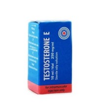 Radjay TESTOSTERONE E 250mg/ml 10ml  