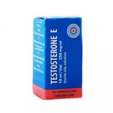 Radjay TESTOSTERONE E 250mg/ml 10ml  