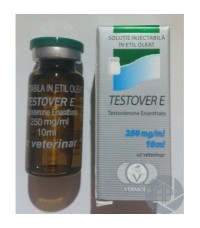 Vermodje TESTOVER E (Testosterone Enanthate) 