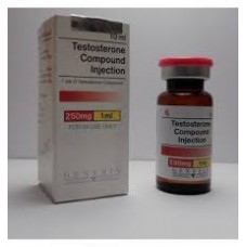 Genesis Testosterone Compund 250mg/ml, 10ml /amp